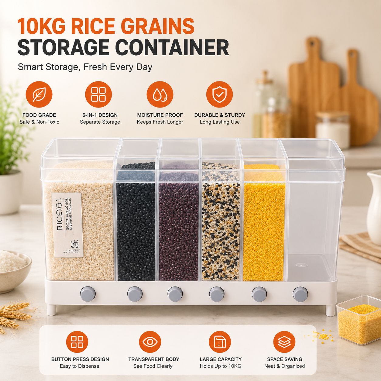 🌾 6-Grid Food Storage Container