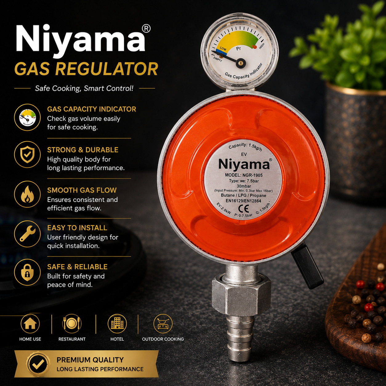 Niyama Gas Regulator